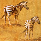 Thumb Zwei Zebras im Gras